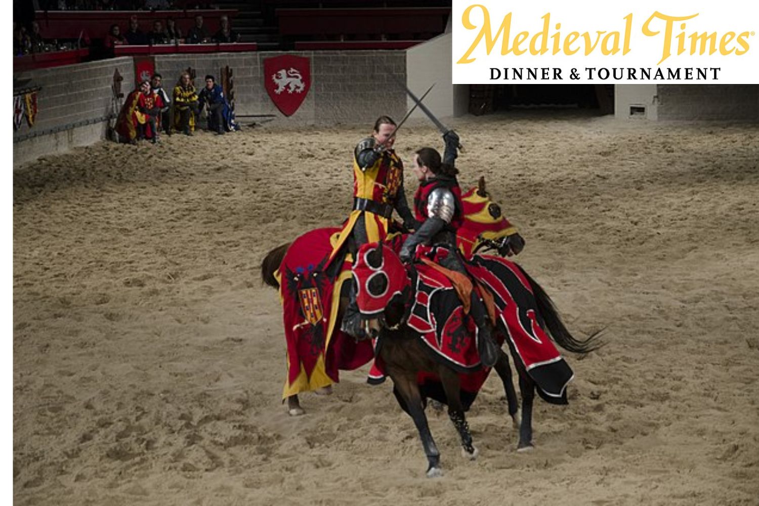 Medieval Times Toronto - Wed., July 24, 2024